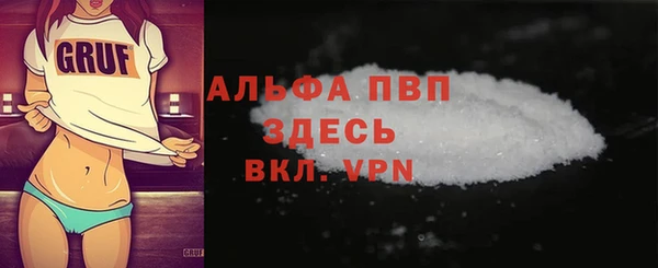 мдпв Гусь-Хрустальный