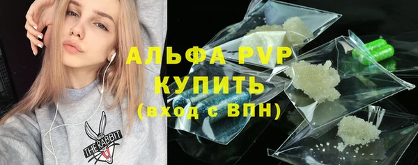 спиды Верея